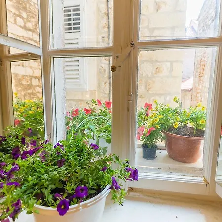 Mia Casa Casa vacanze