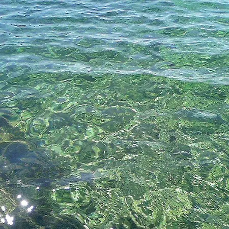 Mia Casa Casa vacanze