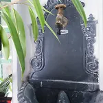 Mia Casa דוברובניק